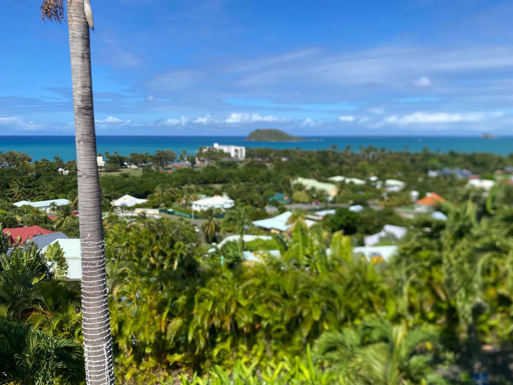 Residence Caraibes Bonheur Deshaies Eksteriør billede