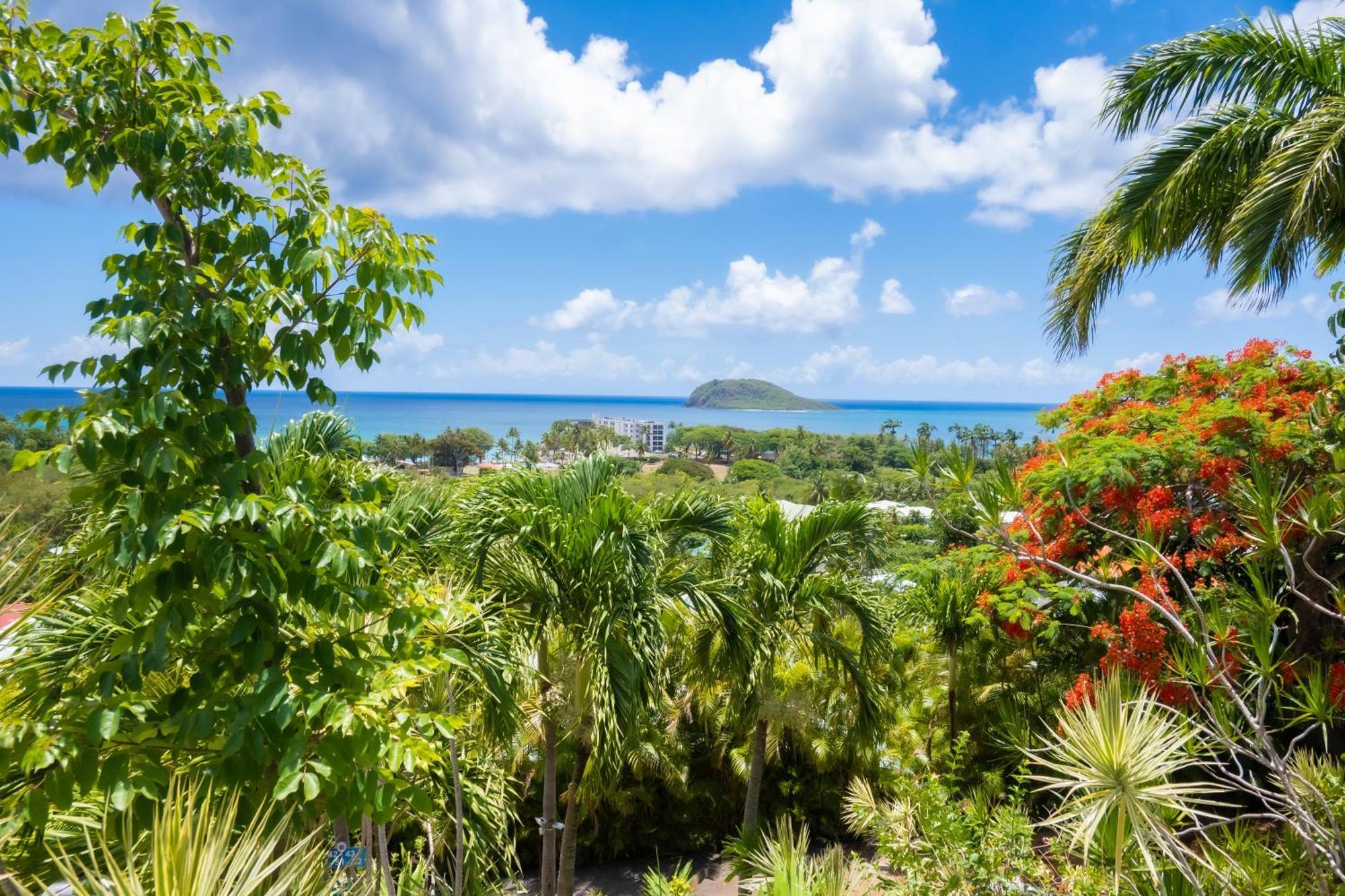 Residence Caraibes Bonheur Deshaies Eksteriør billede