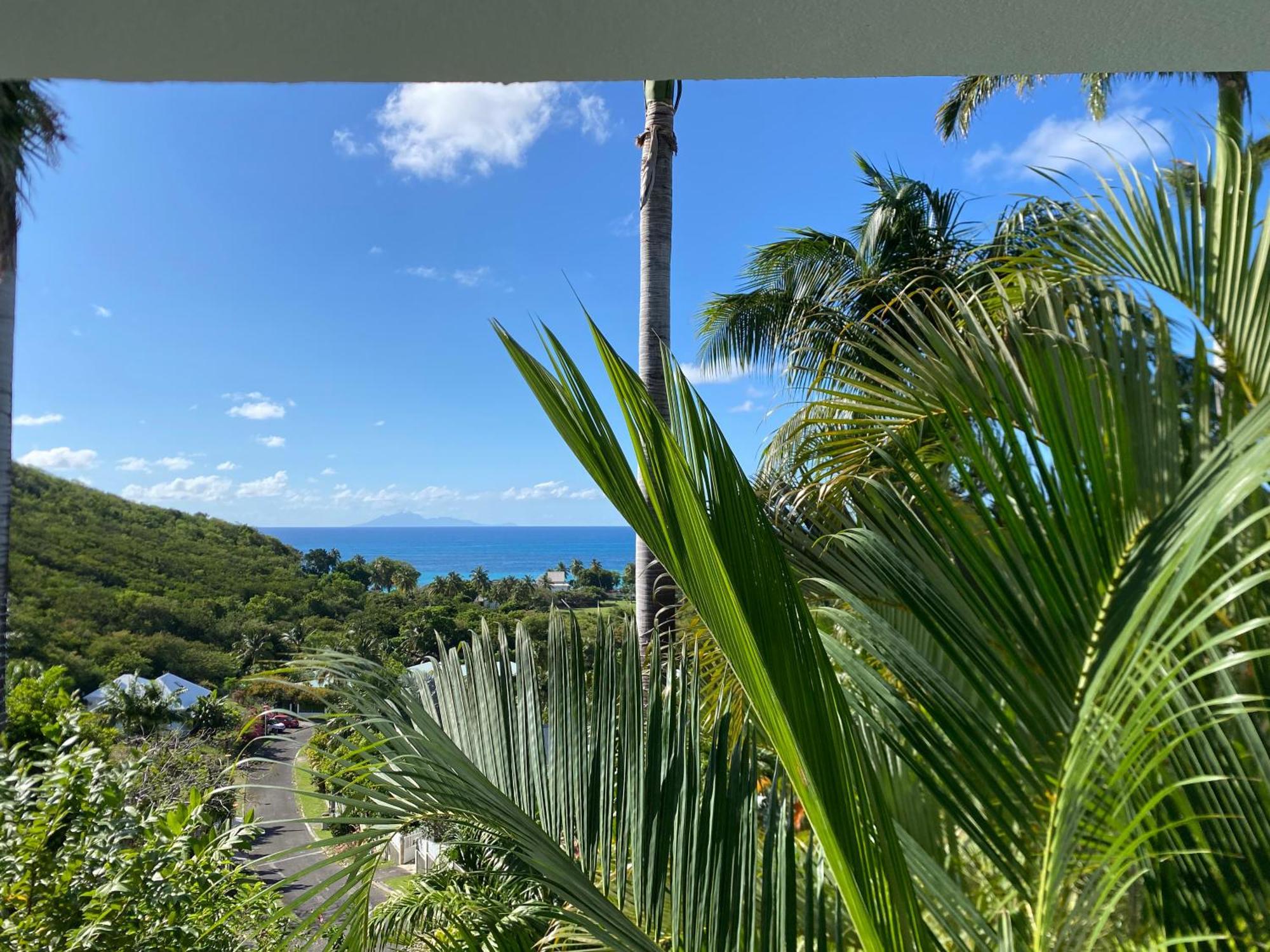 Residence Caraibes Bonheur Deshaies Eksteriør billede